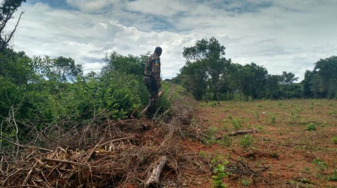 Com ajuda de drone, PMA localiza desmatamento e autua fazendeiro