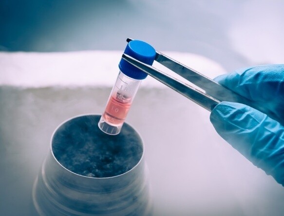 Cientistas dos EUA avançam no uso células-tronco para doenças incuráveis