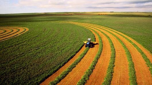 Saldo da balança do agronegócio em junho é de US$ 8,17 bilhões