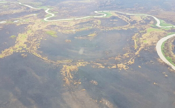 Incêndio é controlado e equipes são desmobilizadas no Pantanal
