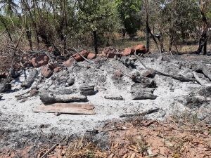PMA aplica R$ 4,65 milhões em multas por incêndios em quase quatro mil hectares