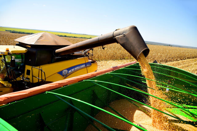 Exportações de milho crescem 401% e amplia saldo da balança comercial de MS