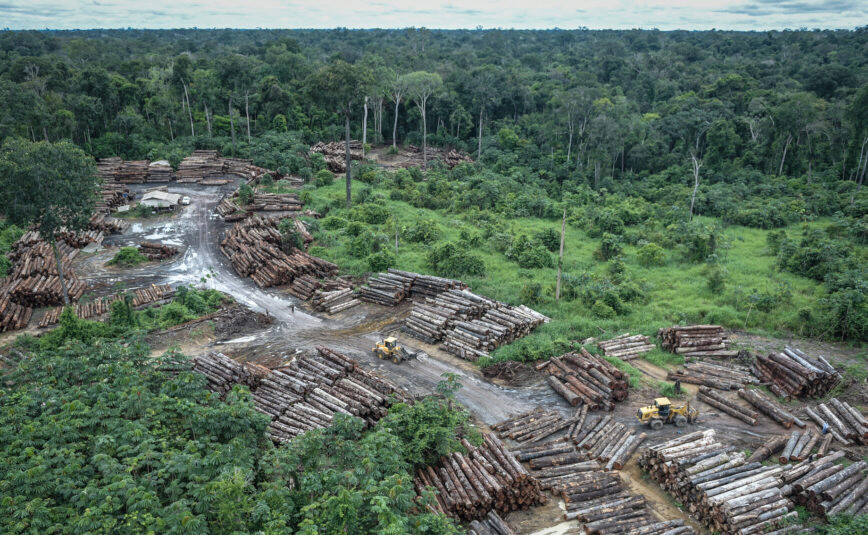 Desmatamento na Amazônia cresceu 183% em dezembro