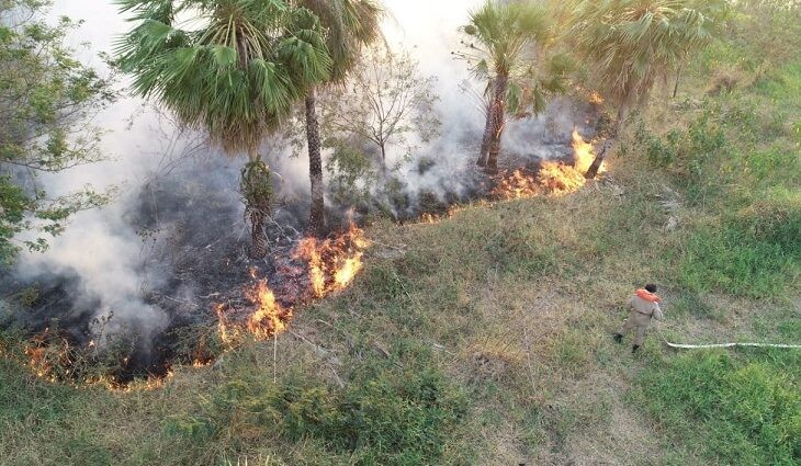 Bombeiros e brigadistas continuam combatendo incêndios no Pantanal