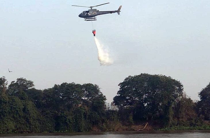 Decreto suspende autorização ambiental para queima controlada no Pantanal