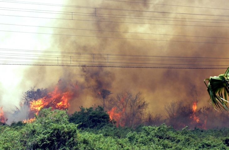 Governador decreta estado de emergência no Pantanal devido a incêndios