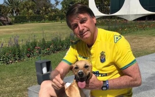 Bolsonaro sanciona lei que aumenta penas para maus-tratos a animais