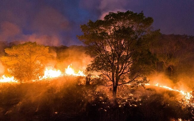 Fazendeiros serão indiciados pela PF por causa de incêndios no Pantanal