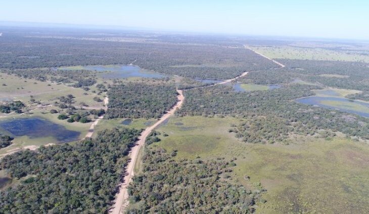 Governo de MS licita mais uma obra de implantação do corredor rodoviário no Pantanal