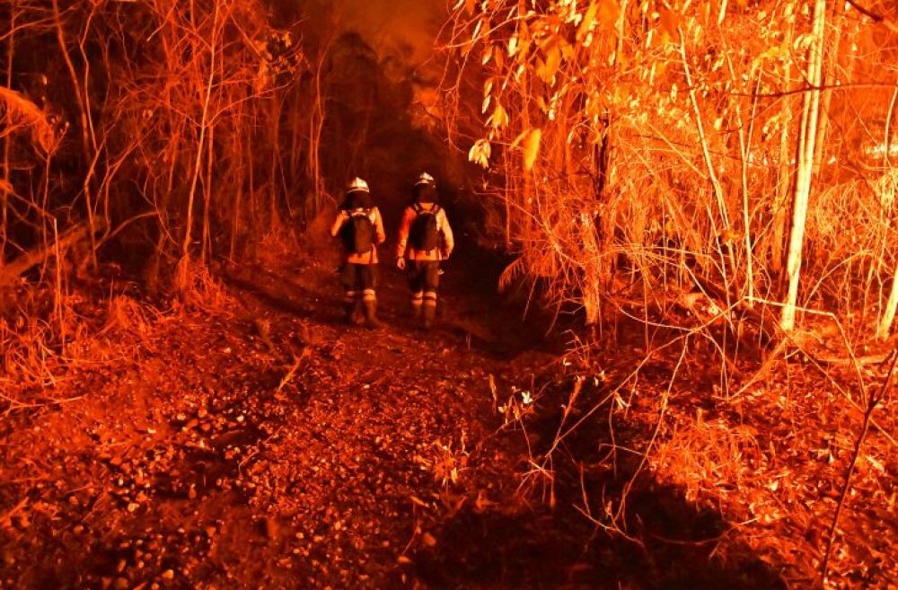 Governo institui Plano Estadual de Manejo Integrado do Fogo para prevenir e combater incêndios florestais