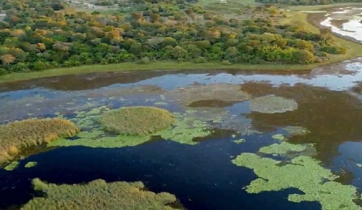 Governo avança para implantar o Parque Estadual do Pantanal do Rio Negro