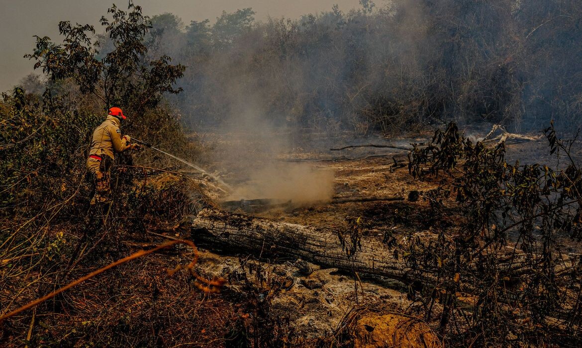Queimadas no Pantanal destruíram o equivalente a 444 campos de futebol