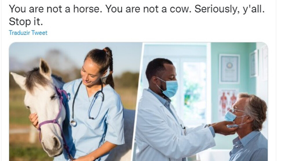 Você não é cavalo nem vaca, deixe de tomar ivermectina, alerta agência