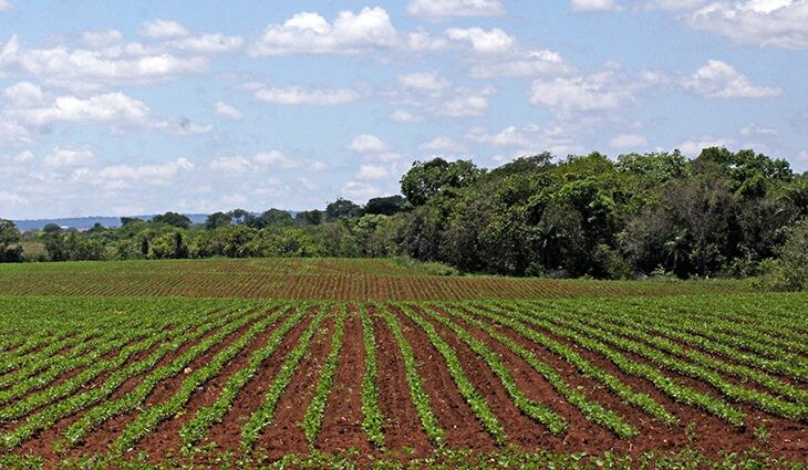 IBGE: 32% dos solos do país têm potencial natural para a agricultura